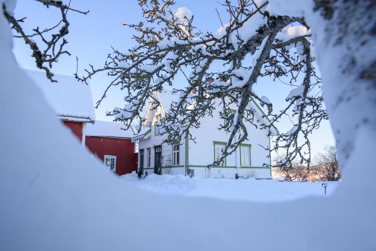 Stromnes - Oldefars Gjestehus Inderoy Straumen  Luaran gambar